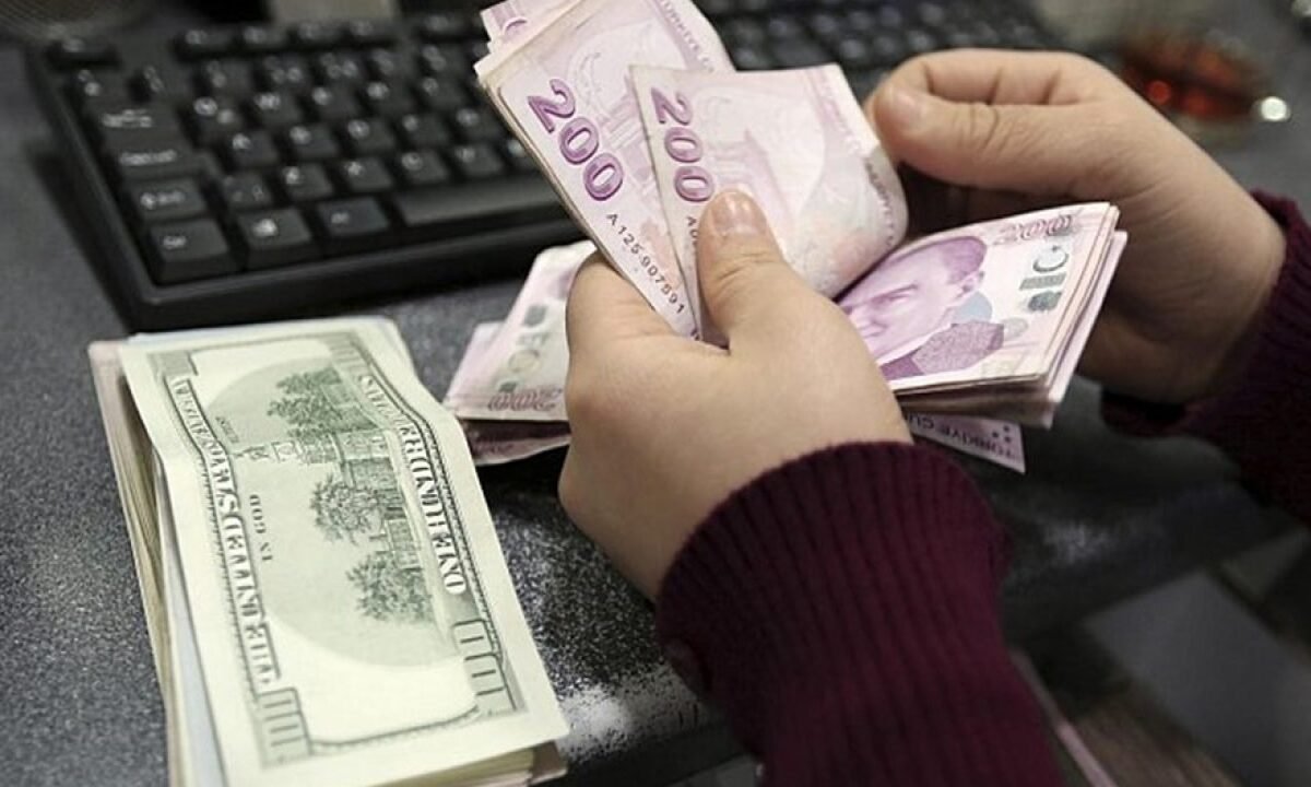 أسعار صرف الليرة التركية أمام الدولار اليوم 12 كانون الثاني 2021