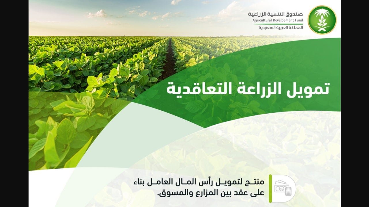 تمويل الزراعة التعاقدية.. صندوق التنمية الزراعي السعودي