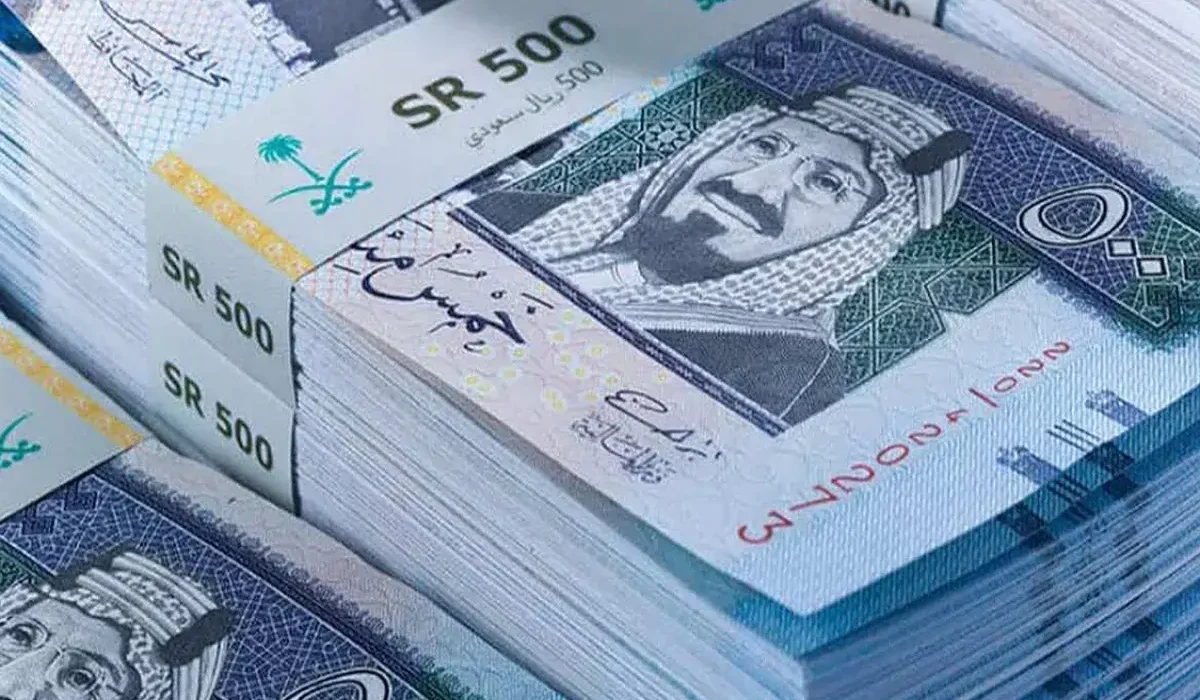 تمويل فوري نقدي للقطاع الخاص من منصة سلفة السعودية